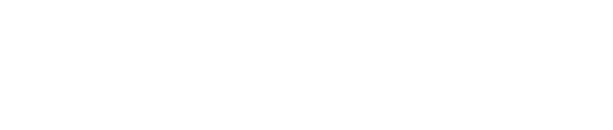 Cirqwit